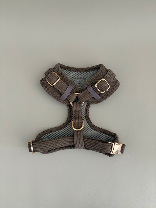 Truffle // Harness