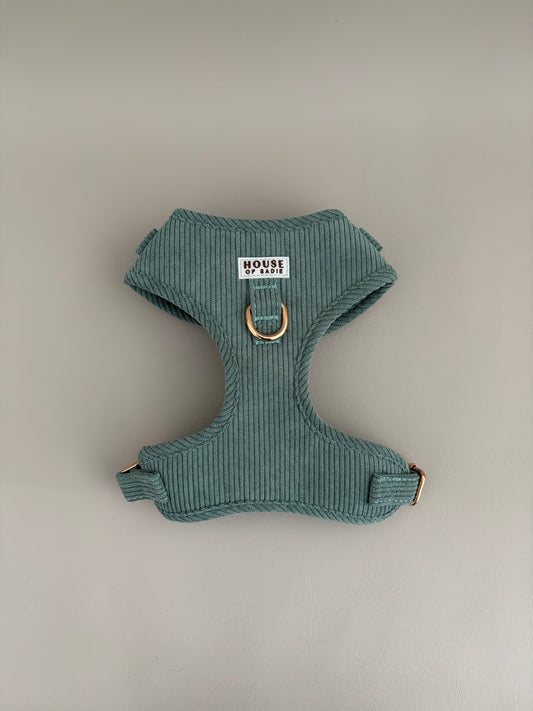 Sage // The Everyday Set
