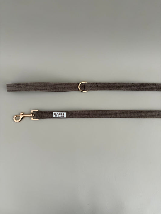 Truffle // Leash