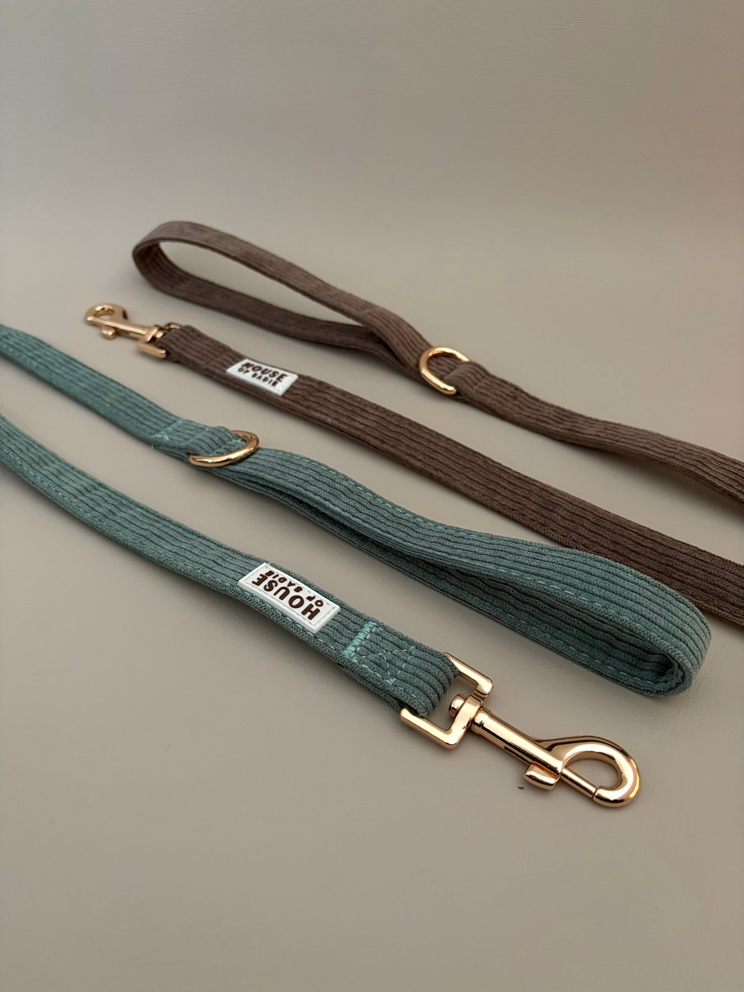 Leashes