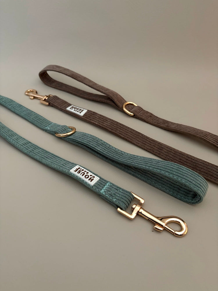 Leashes