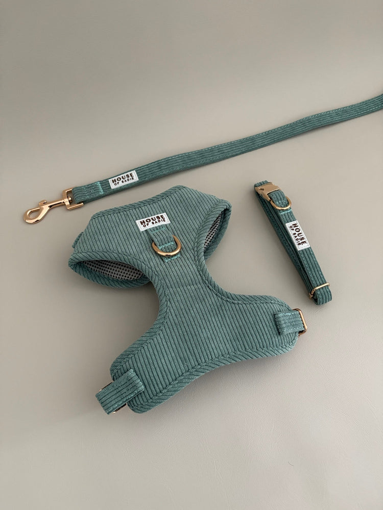 The Everyday Set