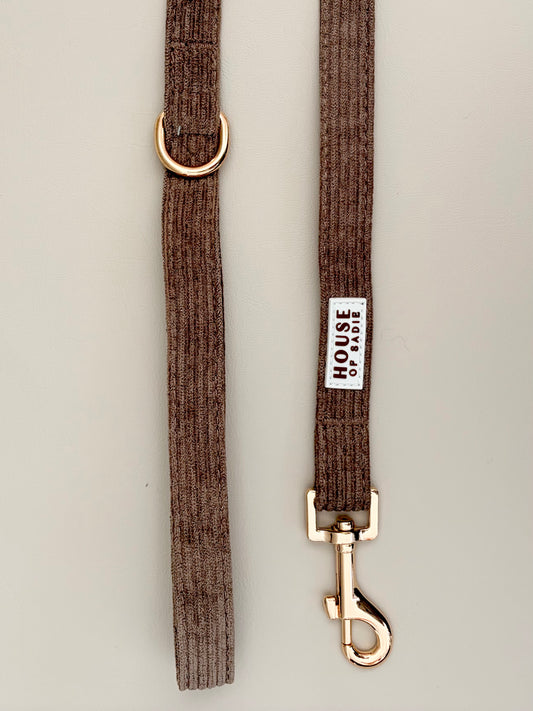 Truffle // Leash