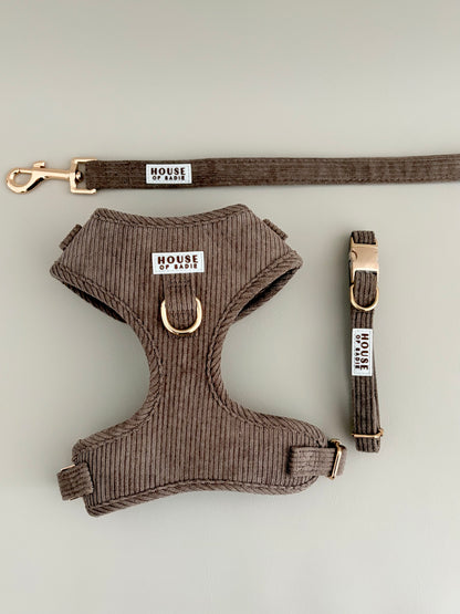 Truffle // The Everyday Set