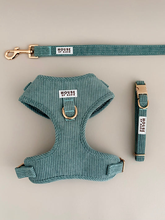 Sage // The Everyday Set