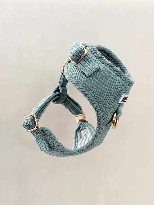 Sage // The Everyday Set