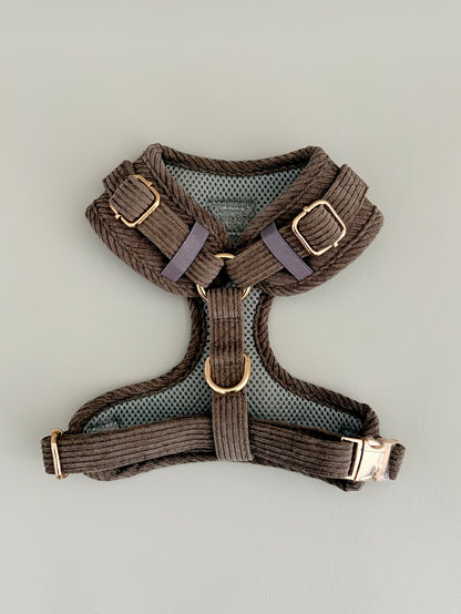 Truffle // The Everyday Set