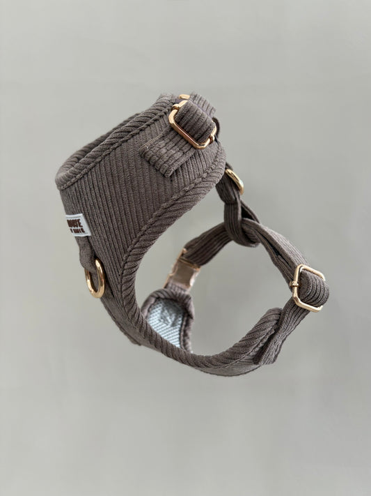 Truffle // The Everyday Set