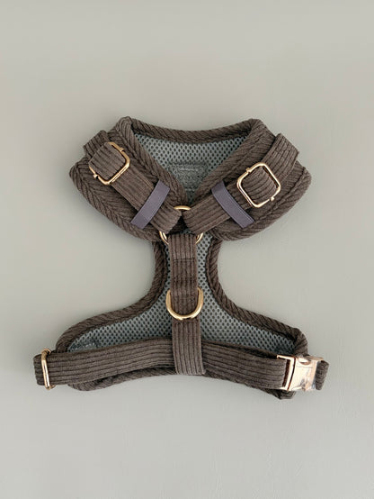 Truffle // The Everyday Set
