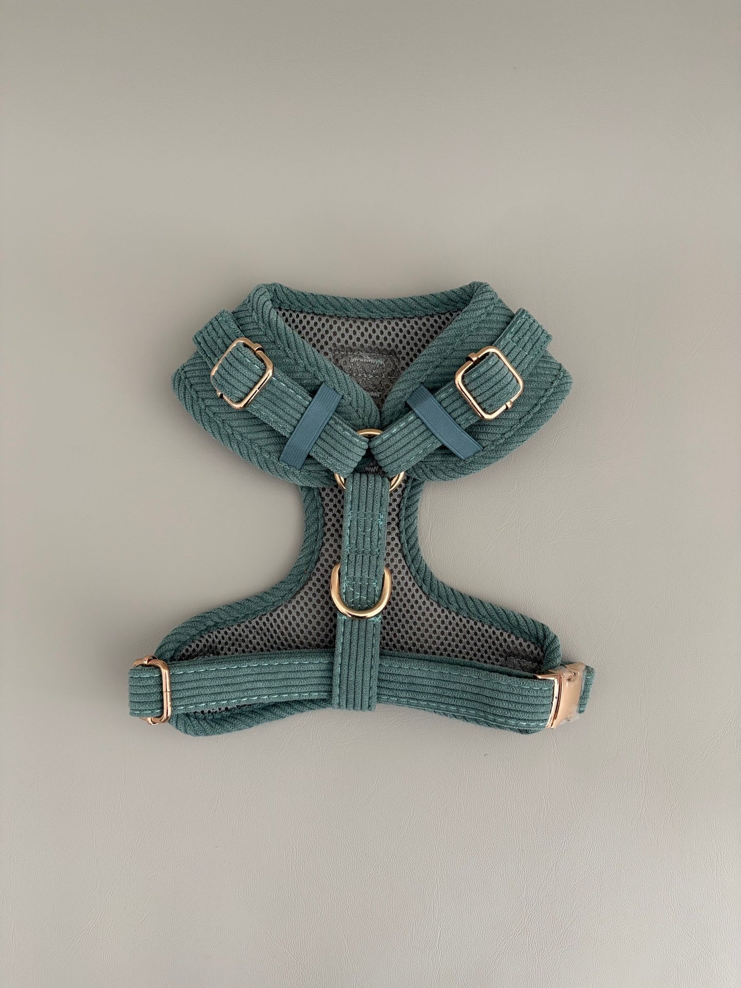 Sage // Harness