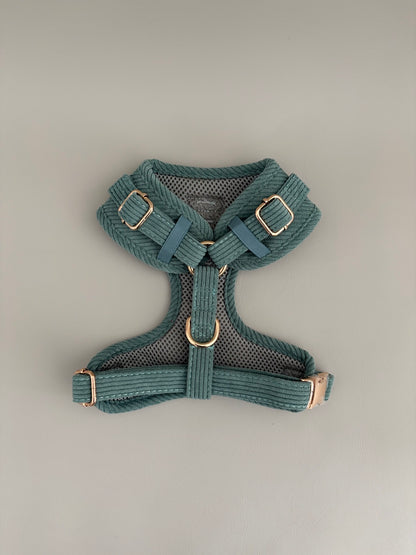 Sage // Harness