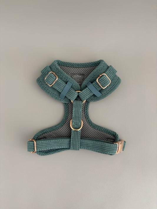 Sage // Harness