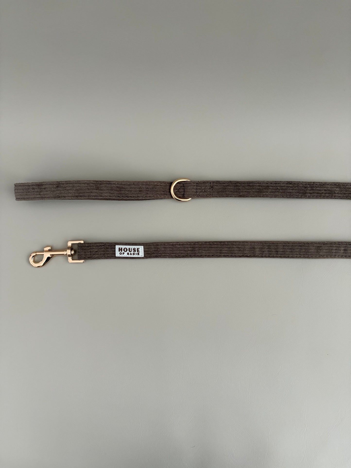 Truffle // Leash