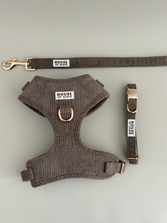 Truffle // The Everyday Set