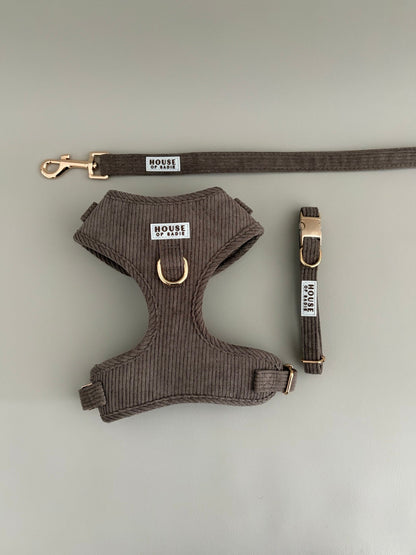 Truffle // The Everyday Set