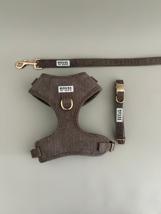 Truffle // The Everyday Set