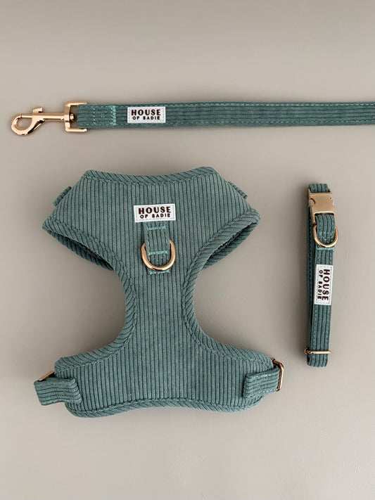 Sage // The Everyday Set
